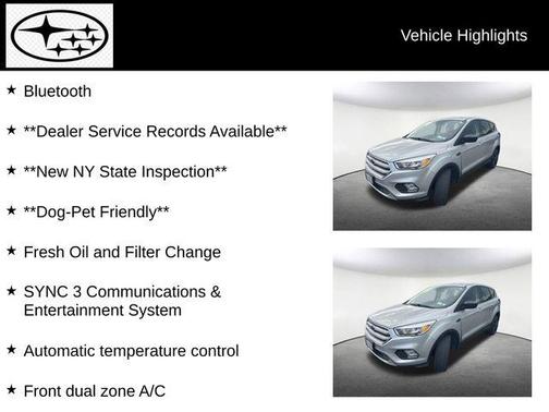2019 Ford Escape SE