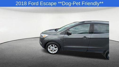 Magnetic 2018 Ford Escape SEL