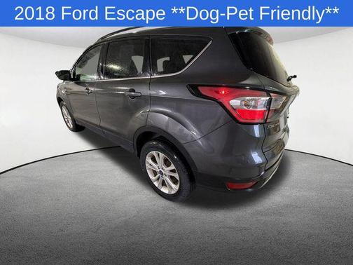 Magnetic 2018 Ford Escape SEL