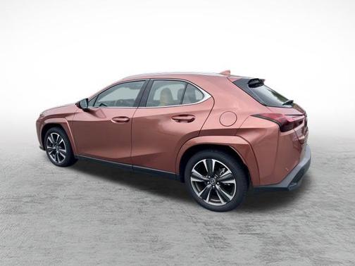 2025 Lexus UX 300h Premium
