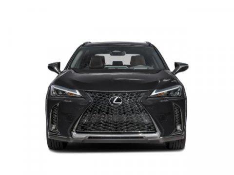 2025 Lexus UX 300h Premium