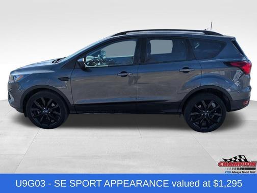 Magnetic 2019 Ford Escape SE