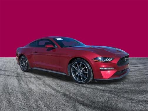 2019 Ford Mustang 