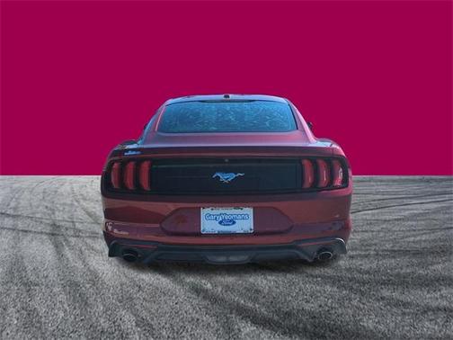 2019 Ford Mustang 