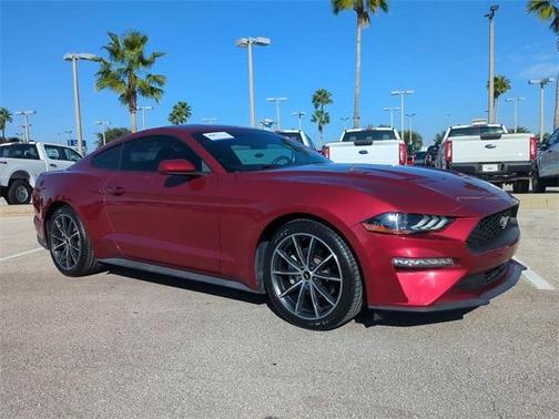 2019 Ford Mustang EcoBoost