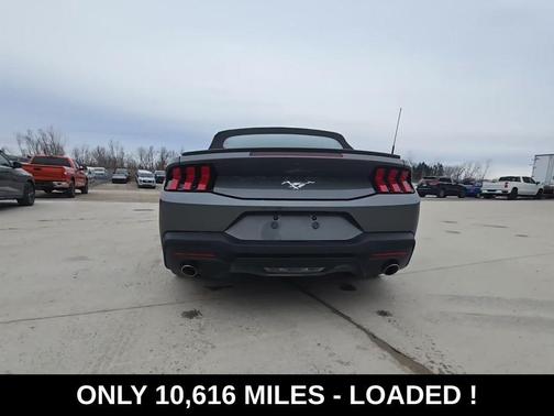 2025 Ford Mustang EcoBoost Premium