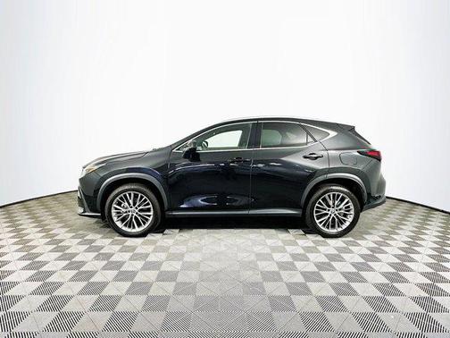 2022 Lexus NX 350h Luxury