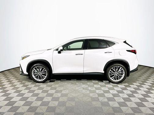 2025 Lexus NX 350 Luxury