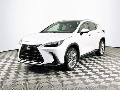 2025 Lexus NX 350 Luxury
