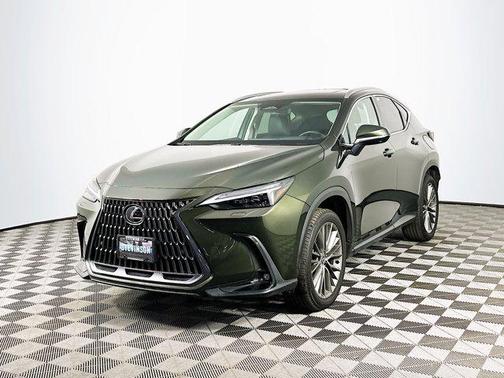2024 Lexus NX 350 Luxury