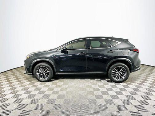 2023 Lexus NX 350 NX 350
