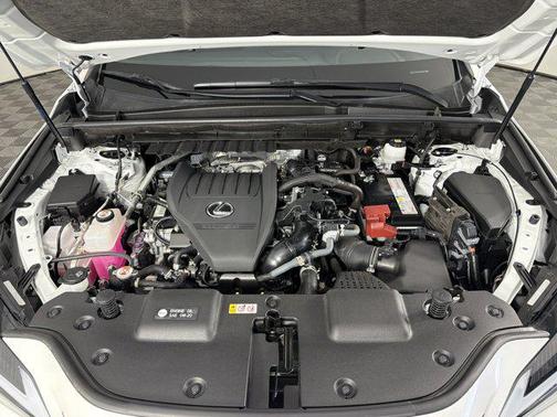 White Pearl 2024 Lexus NX 350 NX 350