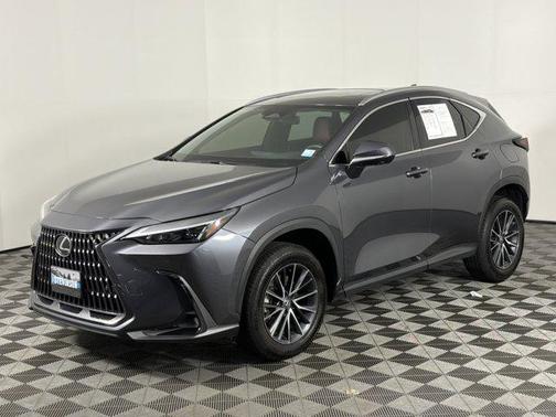 Cloudburst Gray 2024 Lexus NX 350 Premium