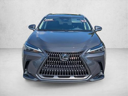 2023 Lexus NX 350 Premium