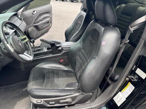 2009 Ford Mustang GT Premium