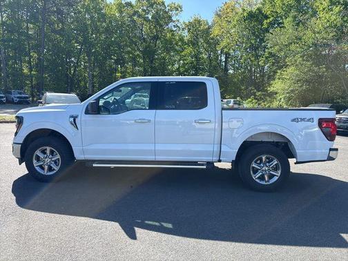 OXFORD WHITE 2025 Ford F-150 XLT
