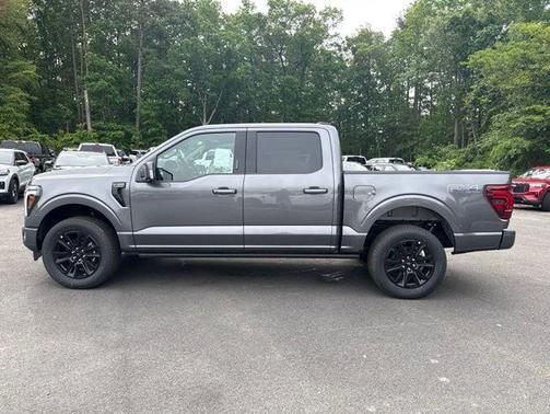 CARBONIZED GRAY METALLIC 2026 Ford F-150 Platinum