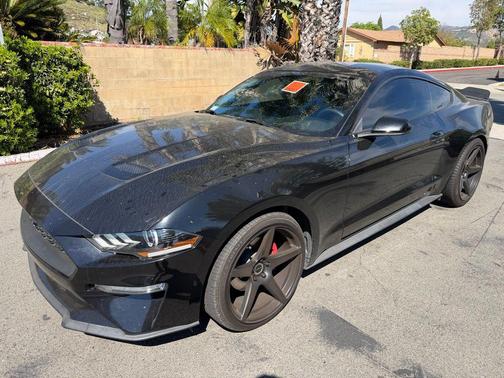 2019 Ford Mustang EcoBoost