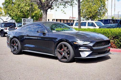 SHADOW BLACK 2019 Ford Mustang EcoBoost
