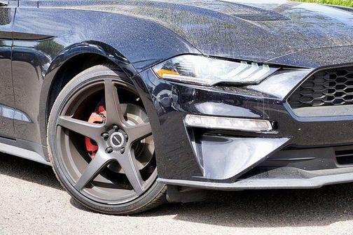 SHADOW BLACK 2019 Ford Mustang EcoBoost