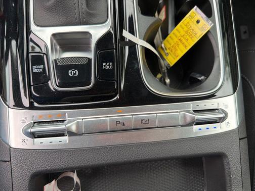 Flare Red 2022 Kia Carnival SX