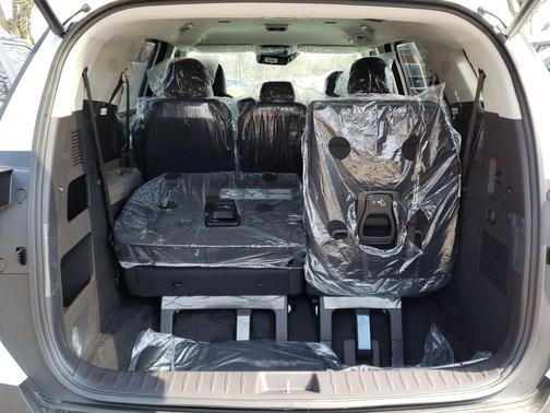 Snow White Pearl 2026 Kia Carnival EX