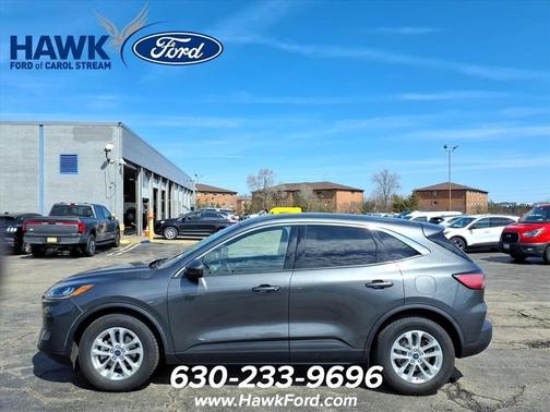 Magnetic 2020 Ford Escape SE