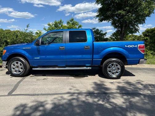 Blue Flame Metallic 2013 Ford F-150 XLT
