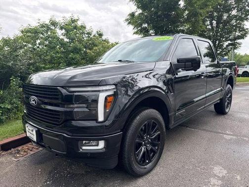 Black Metallic 2024 Ford F-150 Platinum