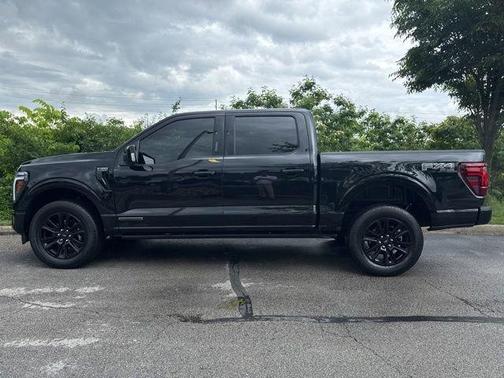 Black Metallic 2024 Ford F-150 Platinum