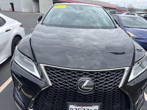 2020 Lexus RX 350 F Sport