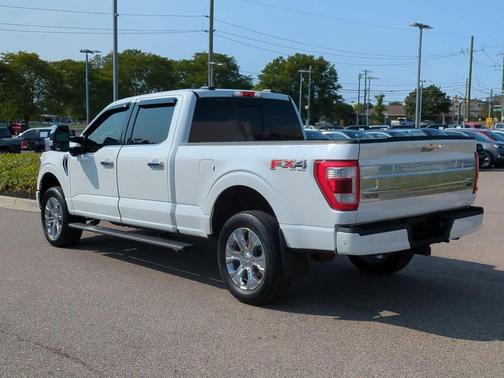 2021 Ford F-150 Platinum