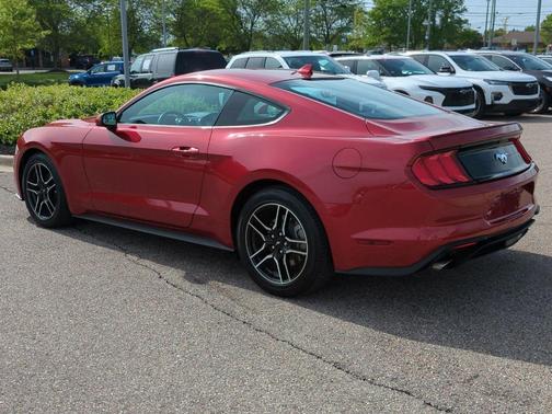 Rapid Red Metallic Tinted Clearcoat 2022 Ford Mustang EcoBoost Premium