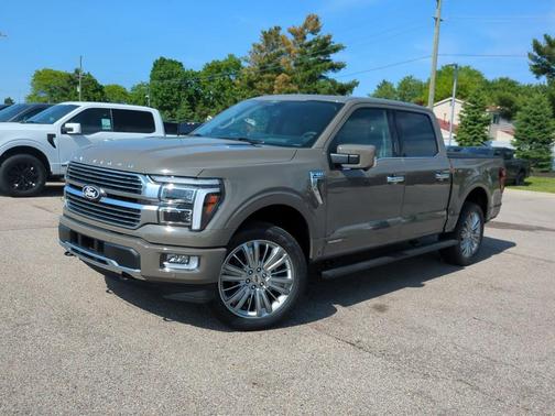 Gray 2026 Ford F-150 Platinum