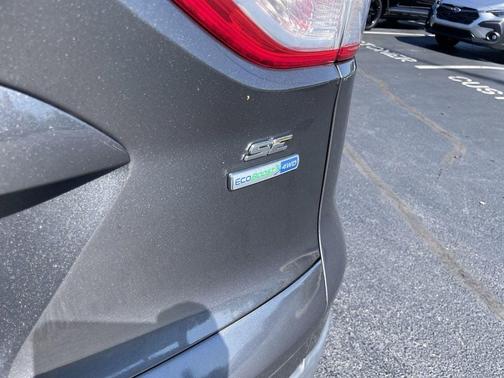 Magnetic 2015 Ford Escape SE
