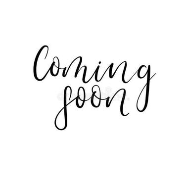 2013 Audi Q5 2.0T Premium Plus