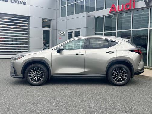Atomic Silver 2024 Lexus NX 350h Premium