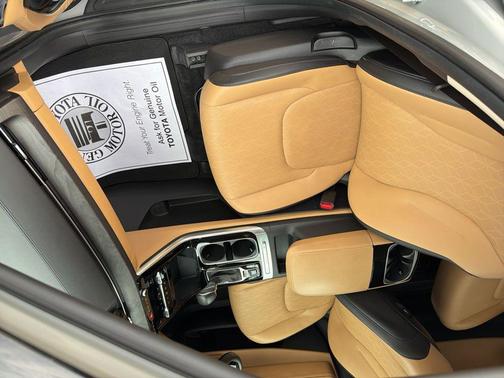 Ceramic Silver 2024 Kia Carnival EX