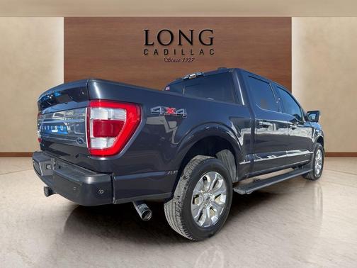 2021 Ford F-150 Platinum