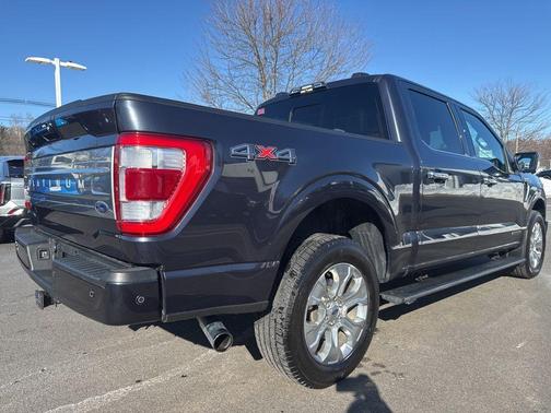 2021 Ford F-150 Platinum