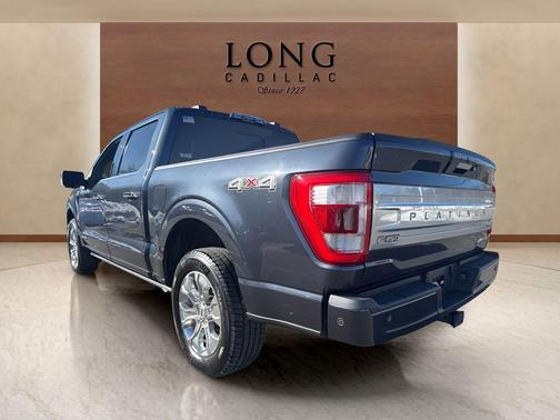 2021 Ford F-150 Platinum