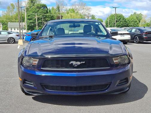 Grabber Blue 2010 Ford Mustang Base