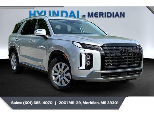 Typhoon Silver 2025 Hyundai PALISADE SEL