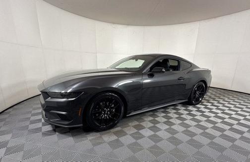 DARK MATTER GRAY METALLIC 2024 Ford Mustang ECOBOOST