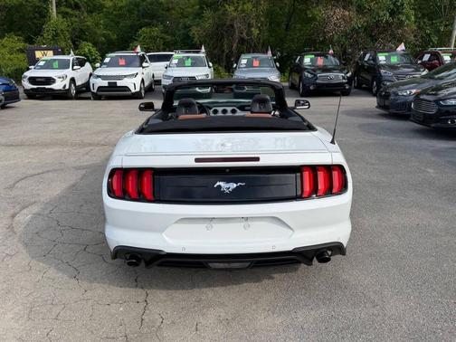 Oxford White 2019 Ford Mustang EcoBoost Premium