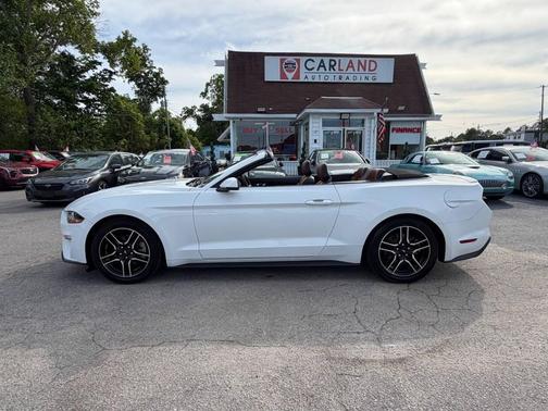 Oxford White 2019 Ford Mustang EcoBoost Premium