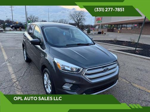 Magnetic 2019 Ford Escape SE