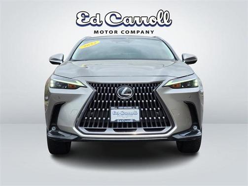 2022 Lexus NX 350 Luxury
