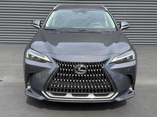 Cloudburst Gray 2025 Lexus NX 250 Base