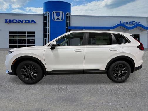 Platinum White Pearl 2026 Honda CR-V EX-L